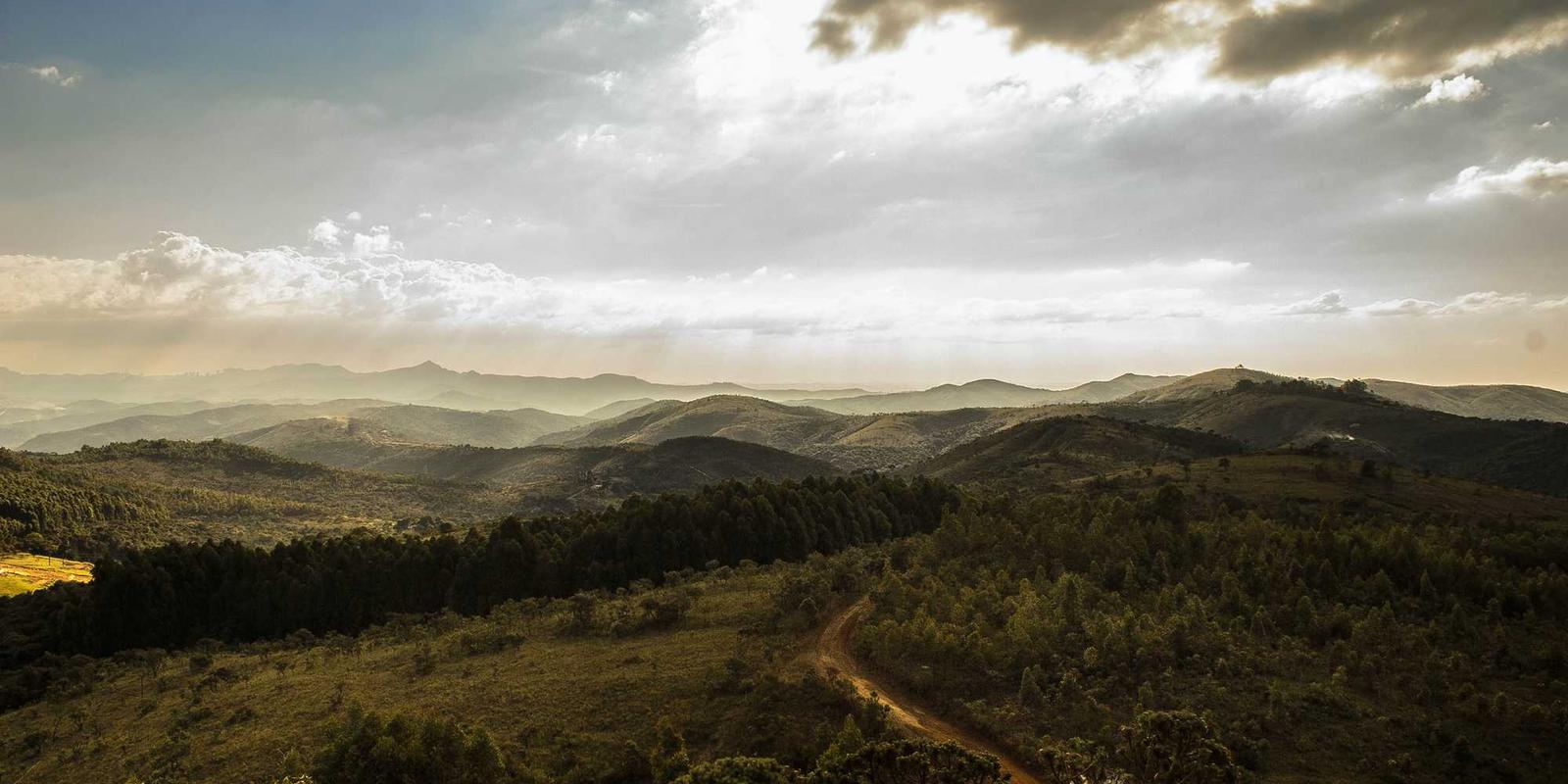 AI 技术赋能行业升级与转型