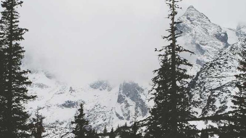 AI大模型行业应用分析与趋势展望