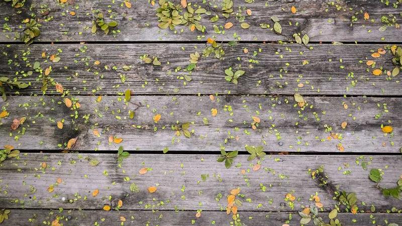 大模型时代的产品设计新思路：从功能导向到AI协作