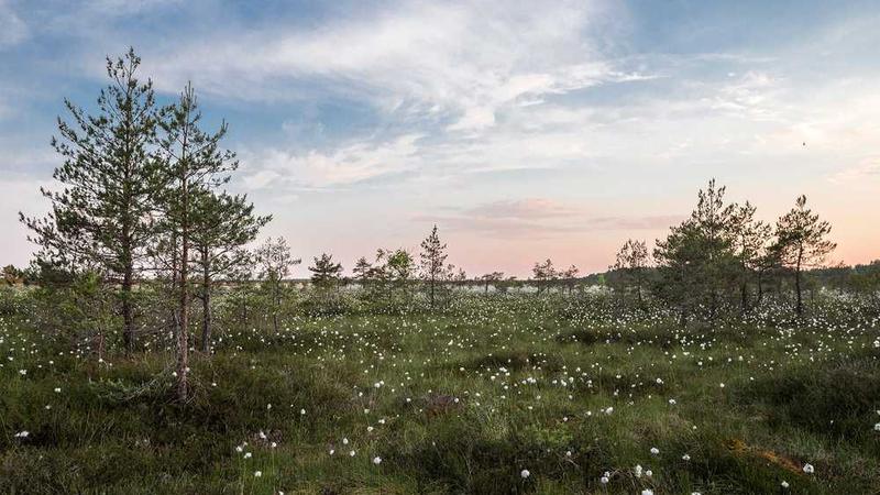 构建可信AI：大模型应用的安全与隐私保护